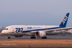 在庫より Dreamliner Ⅱ