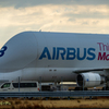 A300-600ST「ベルーガST」No3#3