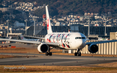JAL JA602J  Mickey Mouse