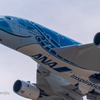 KIX in FLYING HONU Ⅵ