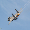 Warehouse jet fighter39
