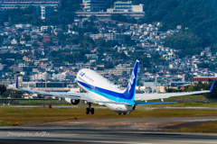 ANA B737-800