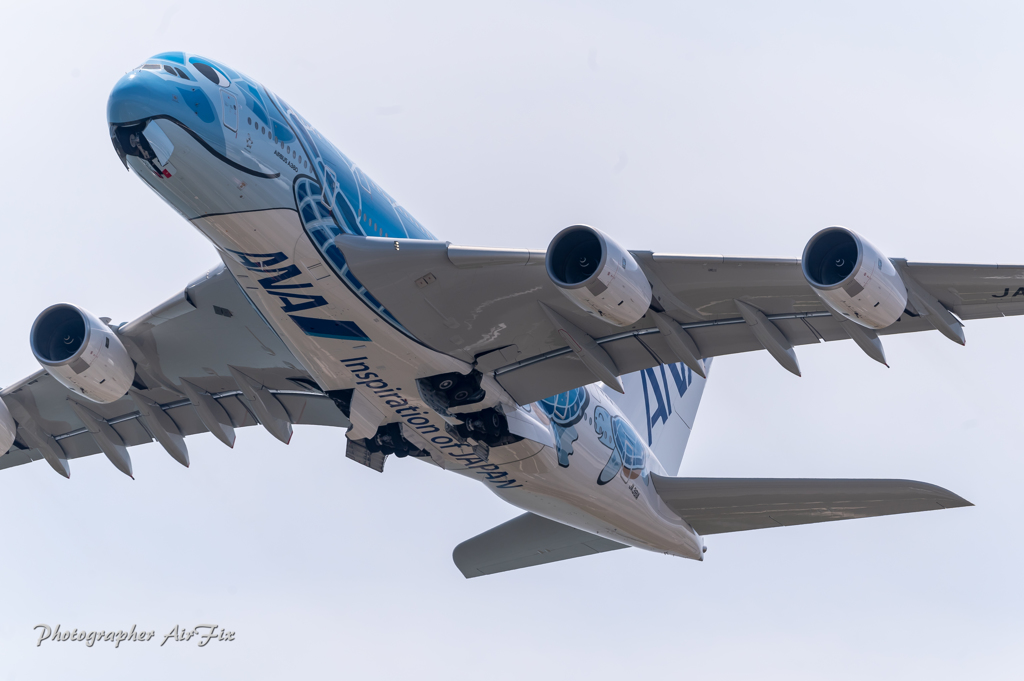 KIX in FLYING HONU Ⅳ