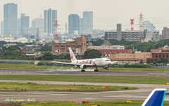 ITM Airport observation deck Ⅲ