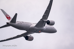 JAL Boeing 787-8 Dreamliner JA832J Ⅲ