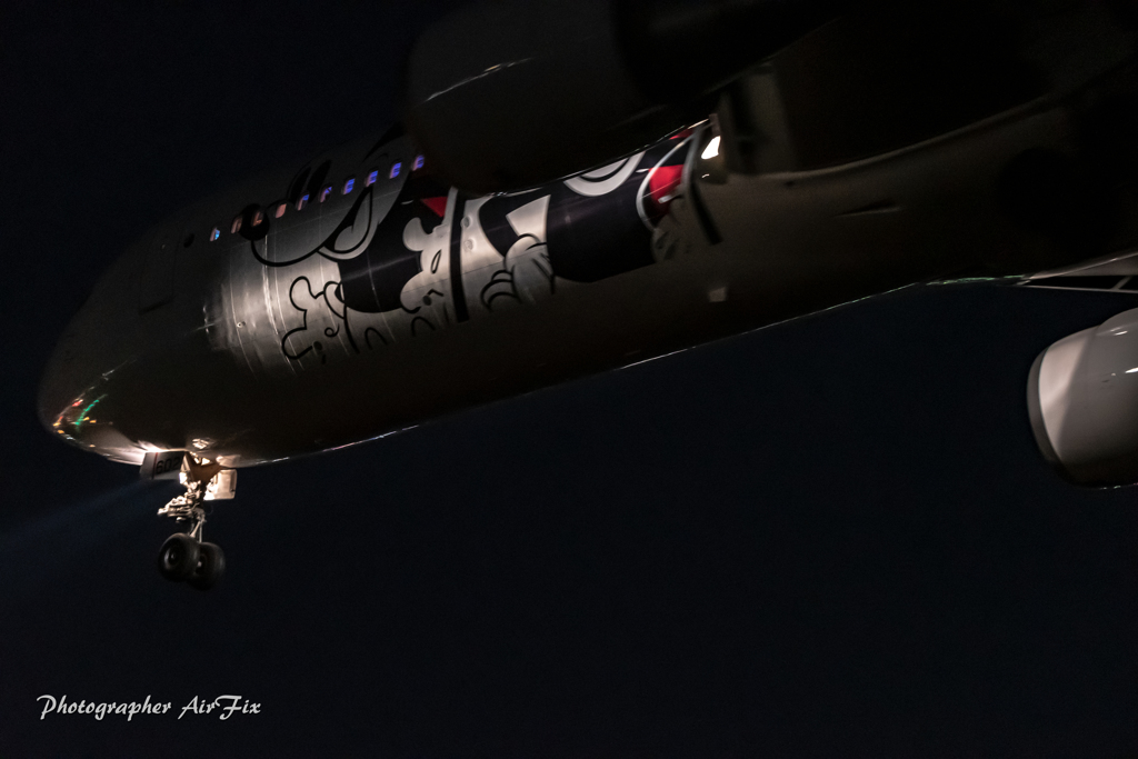 Senrigawa night Mickey Mouse-Ⅲ