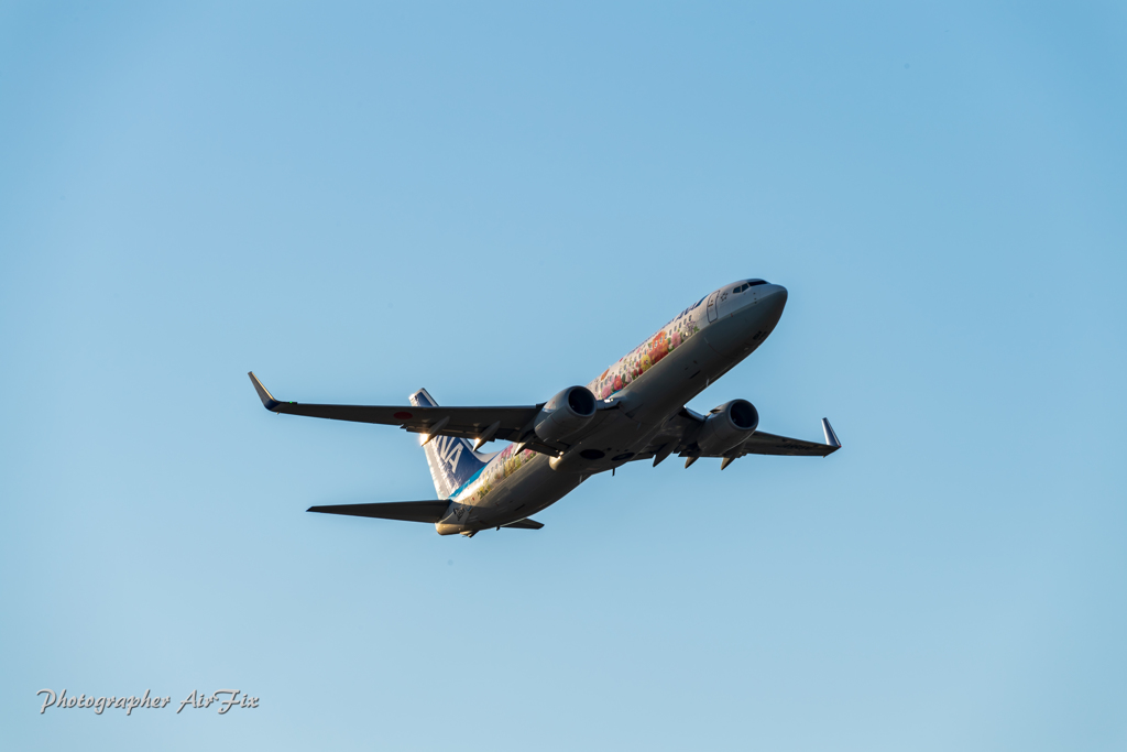 11.16 スペマ祭り－フラワーJet
