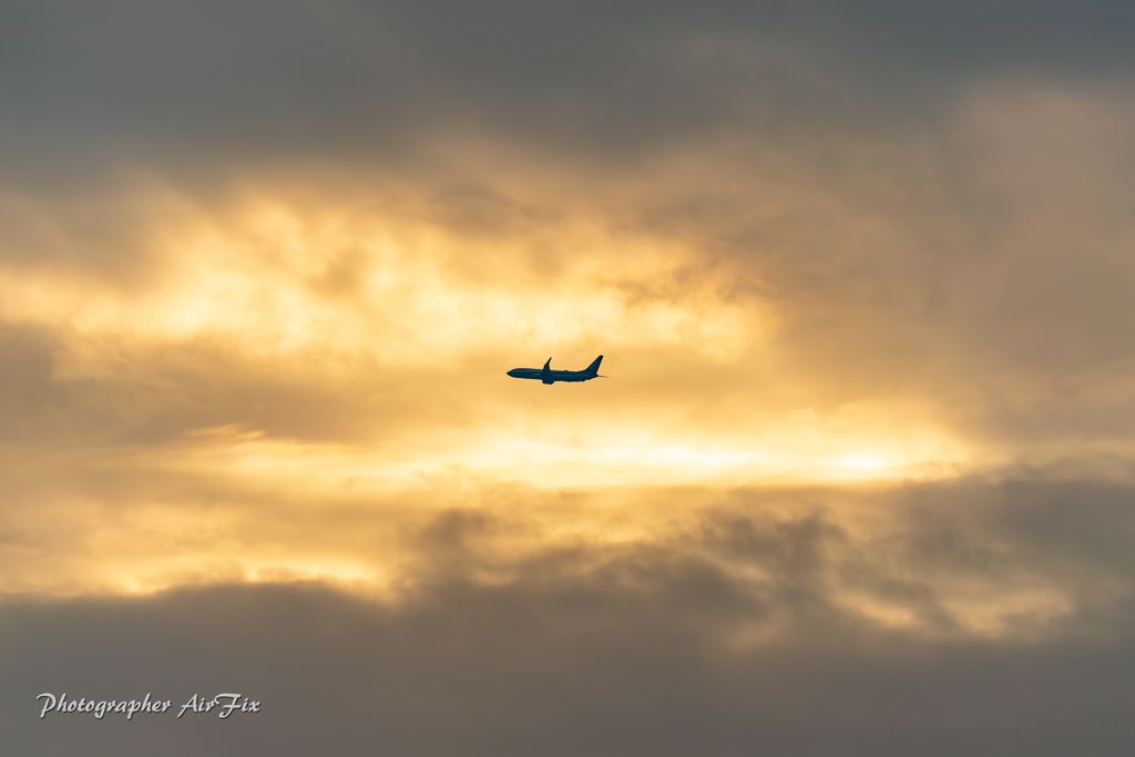 silhouette