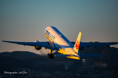 JAL oneworld sunset