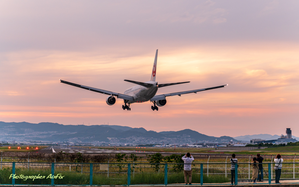 JAL トリプルさん 2