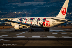 JAL JA602J  Mickey Mouse 4
