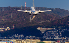 JAL Boeing 787-8 Dreamliner JA831J