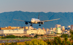 ANA JA711A Landing approach