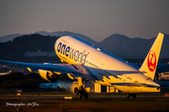JAL oneworld JA771J sunset