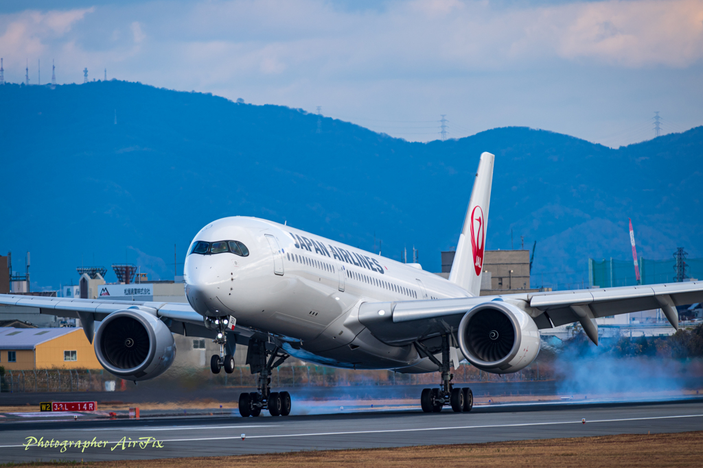 airport life XⅤ
