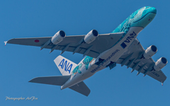 NRT ANA A380 Kai