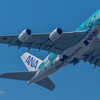 NRT ANA A380 Kai