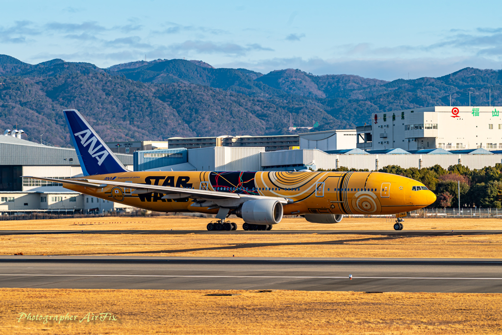 the sunrise on New Year’s Day 12