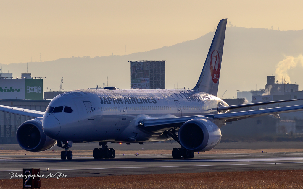 JAL B787