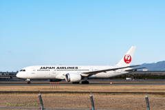 JAL JA846J