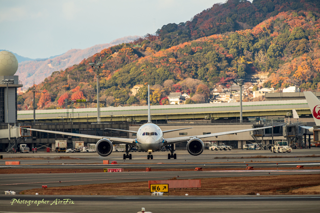 airport life Ⅺ