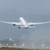 雨の日のJAL-B8さん 4