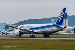 ANA Boeing 787-8 Dreamliner JA816A Ⅱ