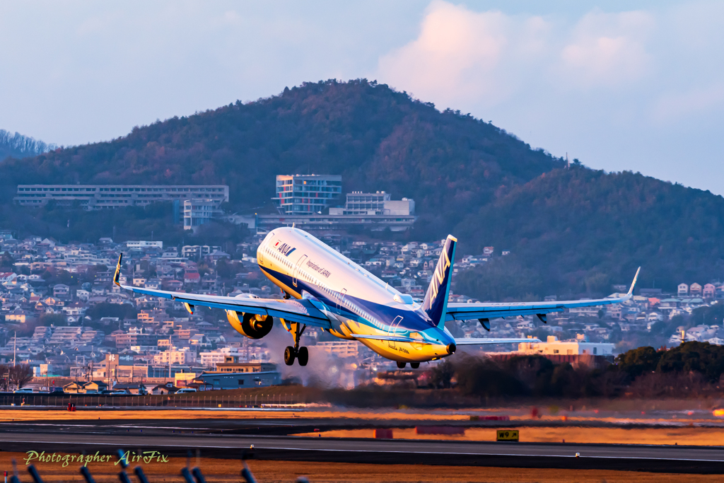 Evening shoot Ⅳ