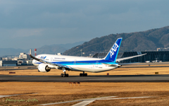 All Nippon Airways JA830A-2