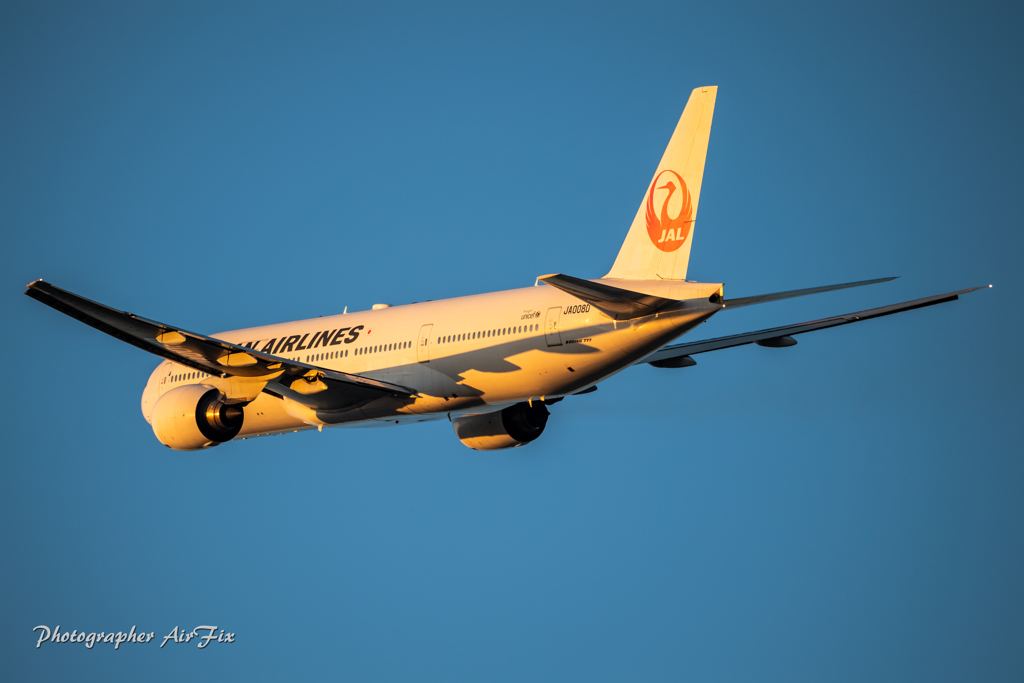 JAL JA008D