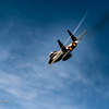 JASDF 23st Flying Training Wing#058