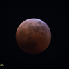 皆既月食ショーⅥ