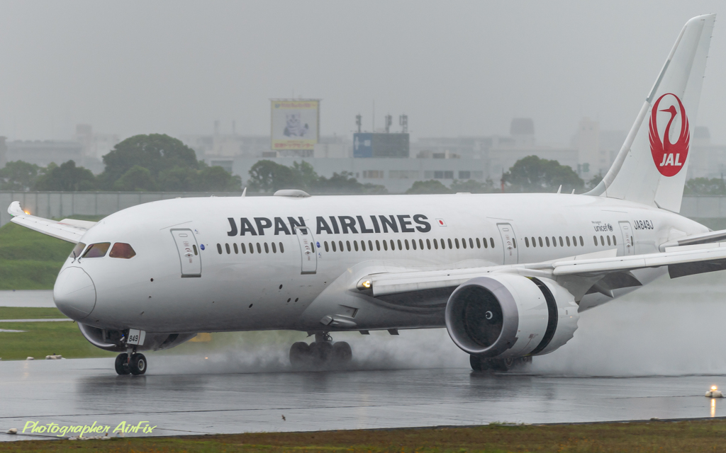 雨の日のJAL-B8さん