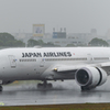 雨の日のJAL-B8さん