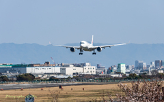 A350 就航 2（大阪へいらっしゃ～～～い！）