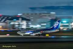 大空の丘 ANA JA306K