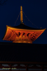 Nakayama Temple Ⅱ