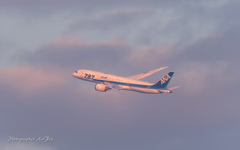 在庫より Dreamliner Ⅲ
