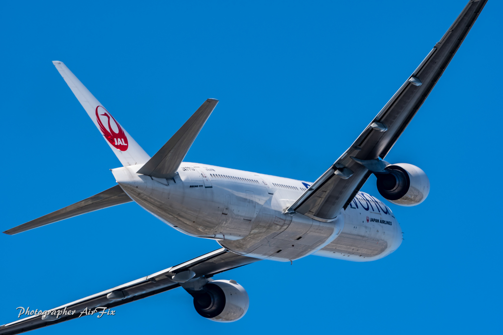 Itami morning JAL JA771J