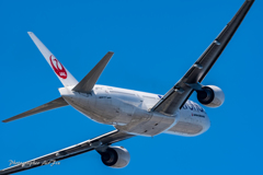 Itami morning JAL JA771J