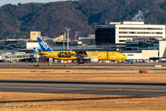 the sunrise on New Year’s Day 7