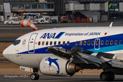 ANA JA302K Ⅱ