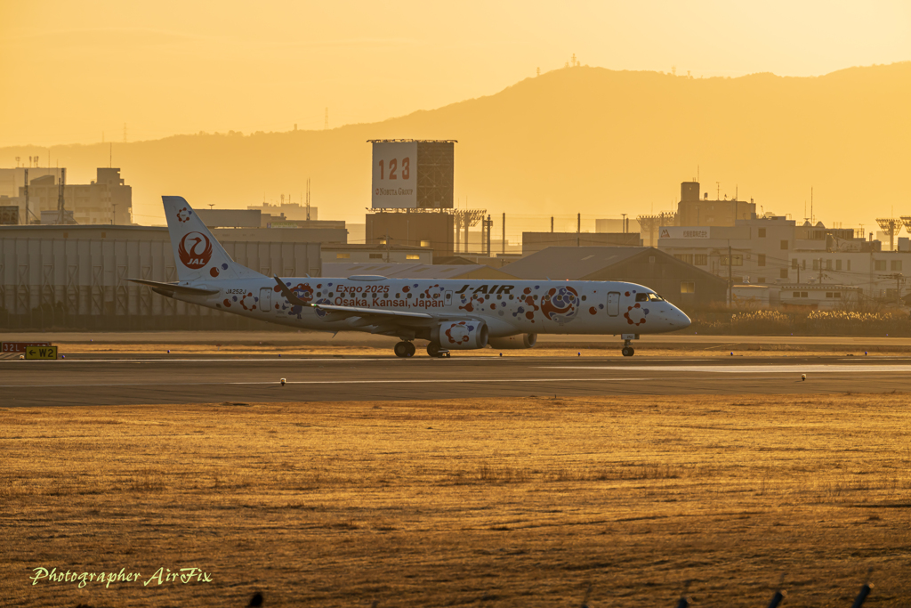 新年の空港#7