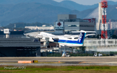 NH/ANA WINGS DHC8－Q400