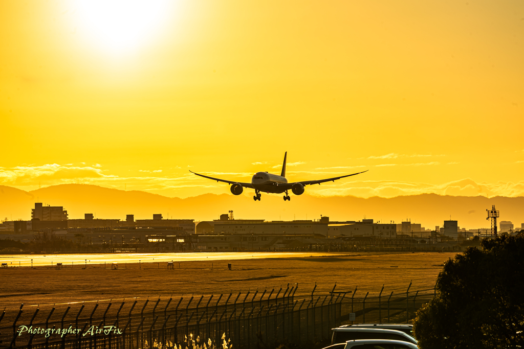 the sunrise on New Year’s Day 5