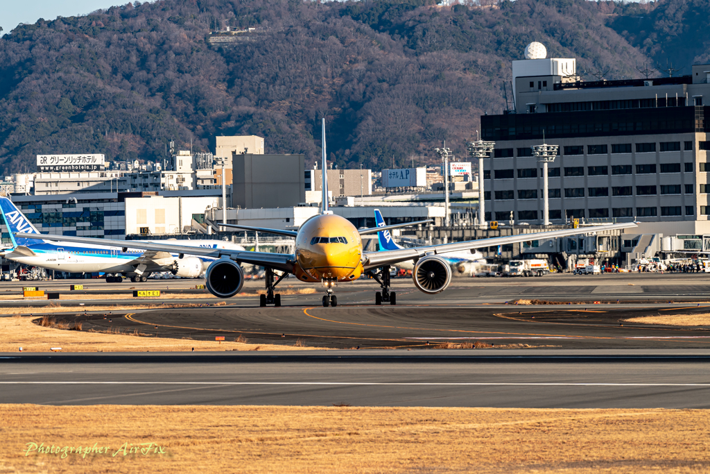 the sunrise on New Year’s Day 10