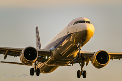 ANA Airbus A321-272N JA138A