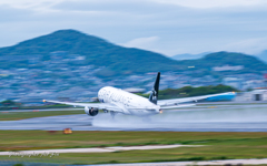 梅雨の楽しみ方 Ⅲ