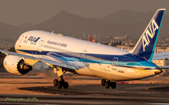 All Nippon Airways JA821A-2