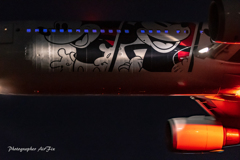 Senrigawa night Mickey Mouse-Ⅱ